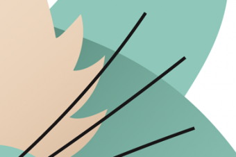 Don’t Be a Passive News Consumer