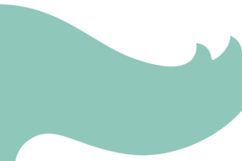 Perceiving Apophenia and Pareidolia