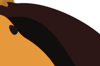 Racial Discrimination and Gaslighting