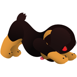 Furrywisepuppy49