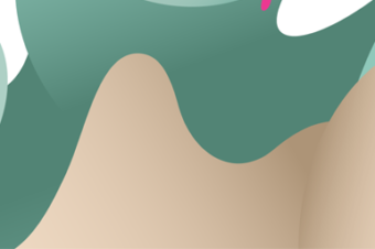 Relying On a Quick Heuristic