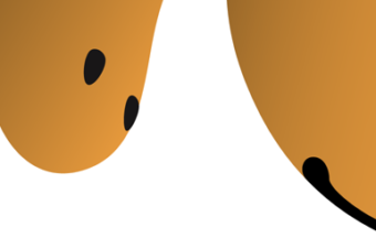 Focalism or the Focusing Illusion