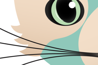 The Affect Heuristic and Affective Forecasting